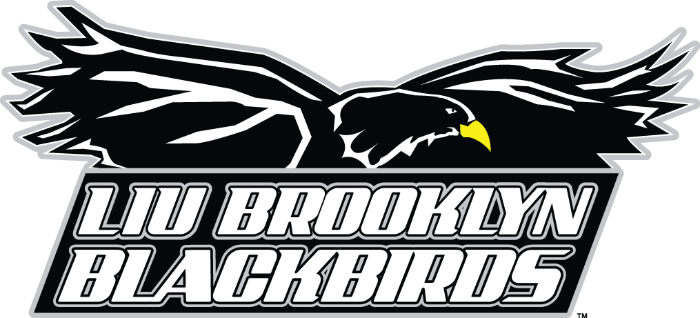 LIU-Brooklyn Blackbirds 2008-Pres Primary Logo iron on transfers for clothing
